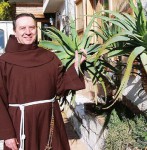 L’aloe arborescens protège l’organisme et guérit des maladies