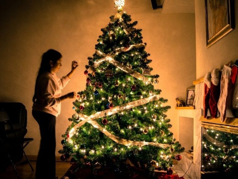 eau de pluie jardin sapin de noël