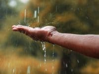 La filtration d’eau de pluie pour des canalisations en bonne santé