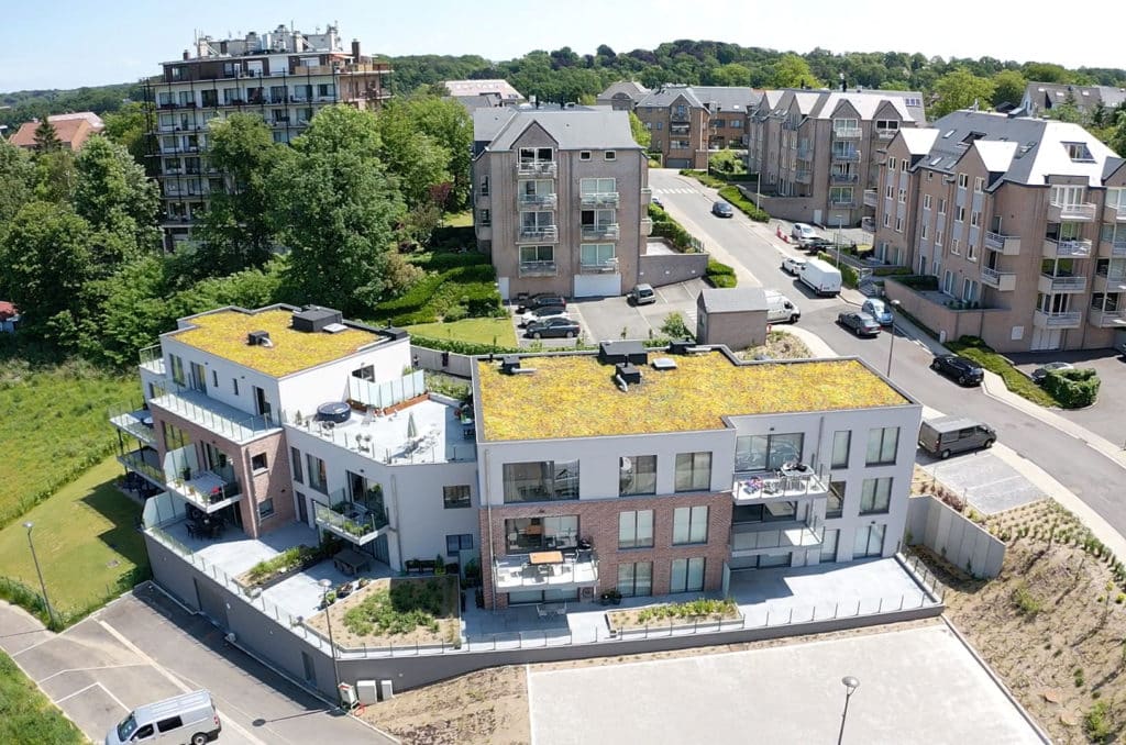 Le renouveau urbain : découvrez les bienfaits d’un toit vert